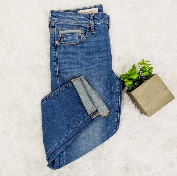 Anthropologie Denim - ANTHRO PILCRO Stet jean skinny ankle medium wash